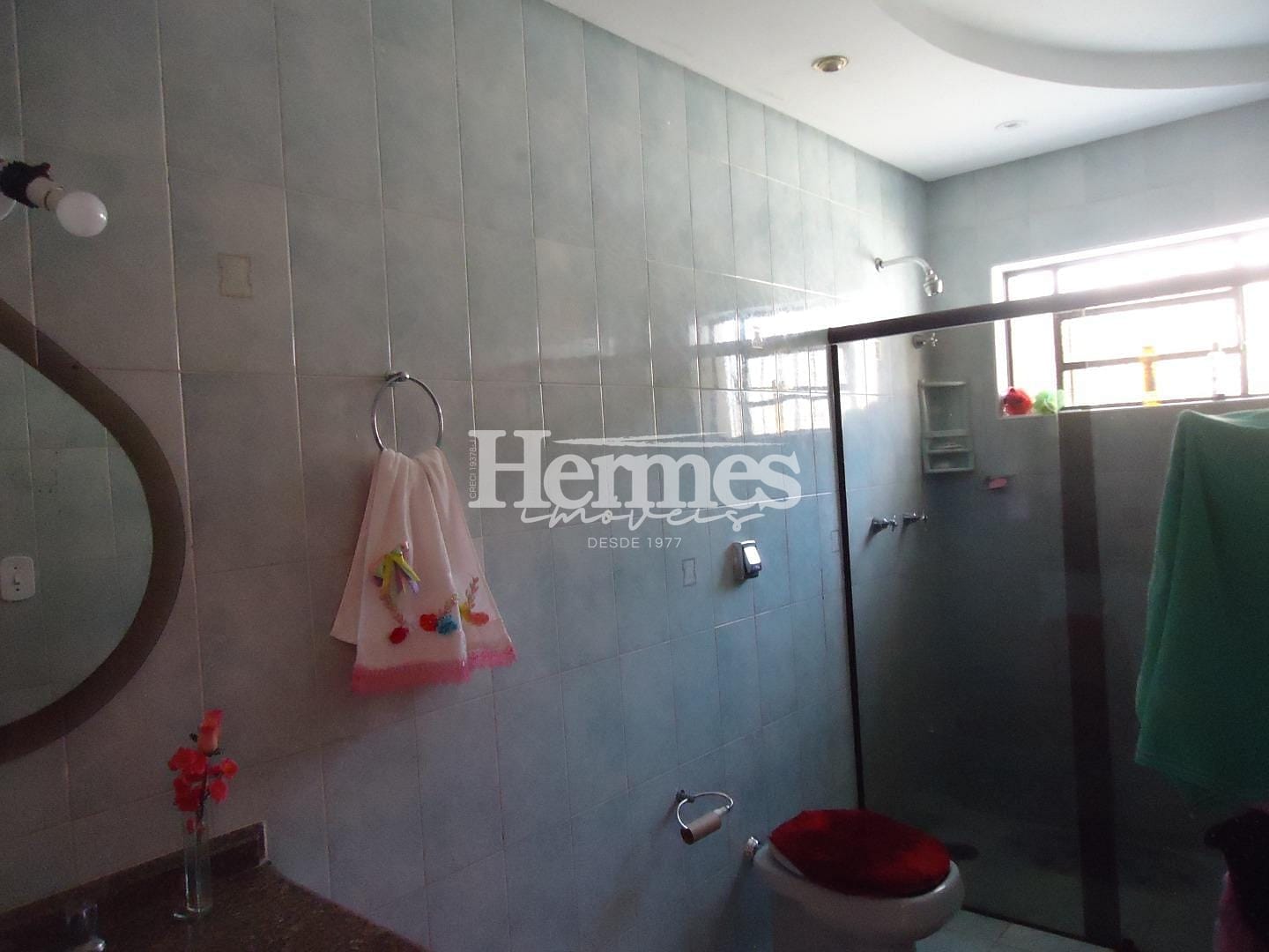 Casa, 4 quartos, 334 m² - Foto 21