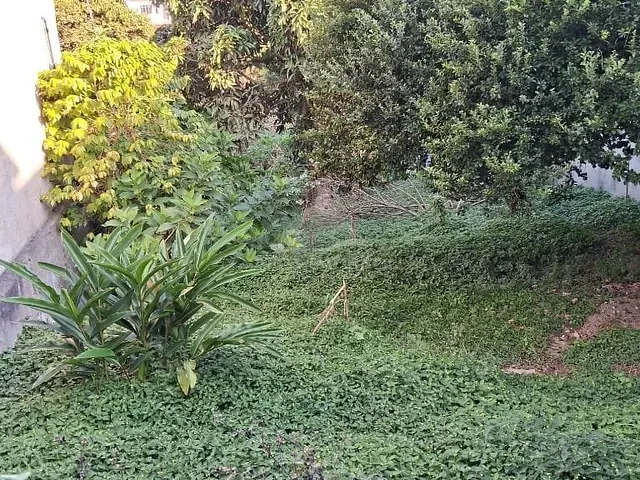 Casa com 490m² 2 quartos e 2 banheiros, à venda, no bairro Vila Bocaina em Mauá