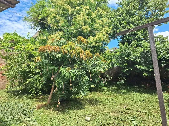 Casa com 244m² 2 quartos e 1 banheiro, à venda, no bairro Conjunto Habitacional Pedro Afonso Junqueira em Poços de Caldas