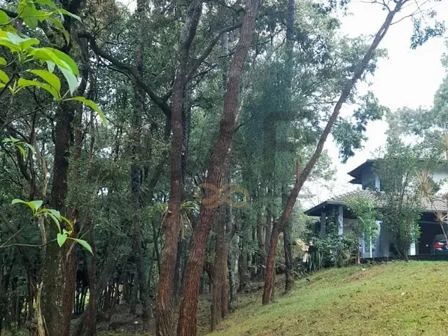 Casa com 5022m² 4 quartos e 6 banheiros, à venda, no bairro Condomínio Fazenda Duas Marias em Holambra