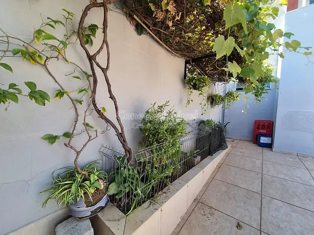 Casa com 300m² 4 quartos e 4 banheiros, à venda, no bairro Jardim Europa em Jaguariúna