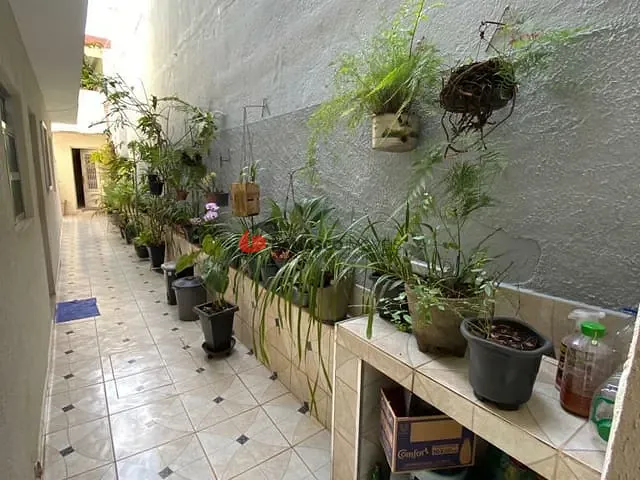 Casa com 180m² 1 quarto e 1 banheiro, à venda, no bairro Vila Palmares em Santo André