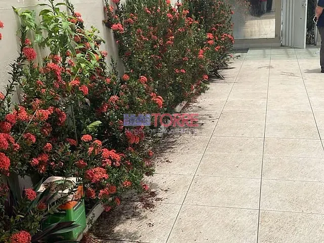 Casa 3 quartos e 5 banheiros, à venda, no bairro Castália em Itabuna