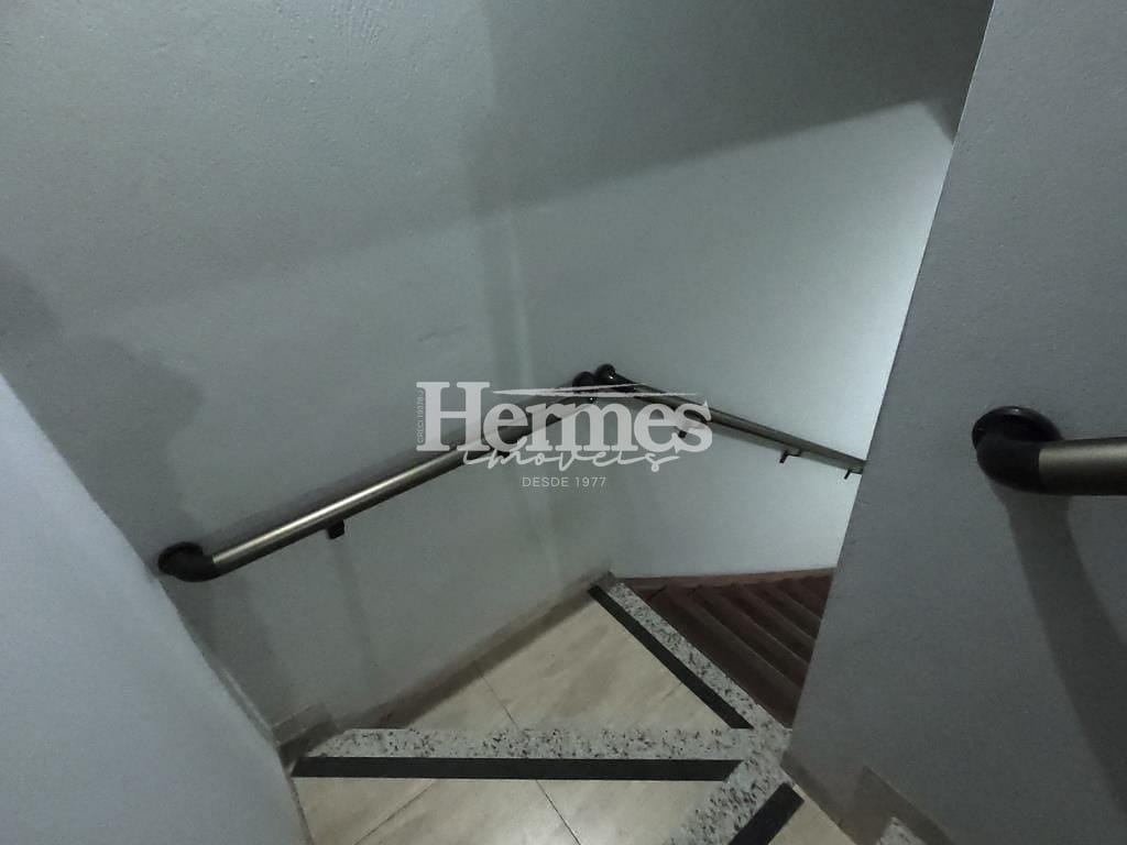 Casa, 4 quartos, 318 m² - Foto 10