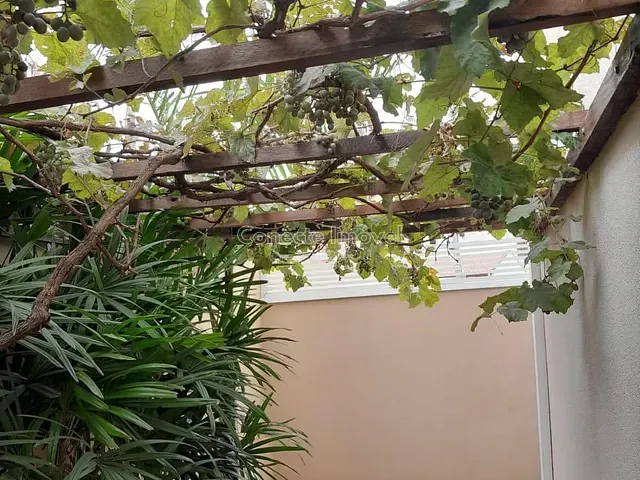Casa 5 quartos e 5 banheiros, à venda, no bairro Estância das Flores em Jaguariúna