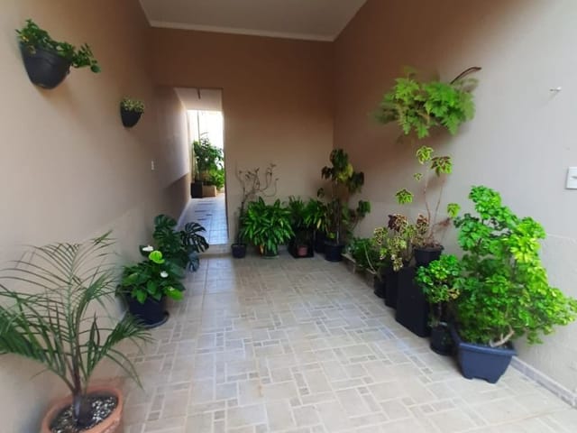 Casa com 256m², à venda, no bairro Cambuí em Cambuí