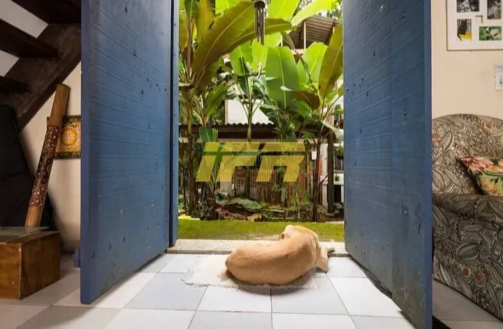Casa, 7 quartos, 700 m² - Foto 4