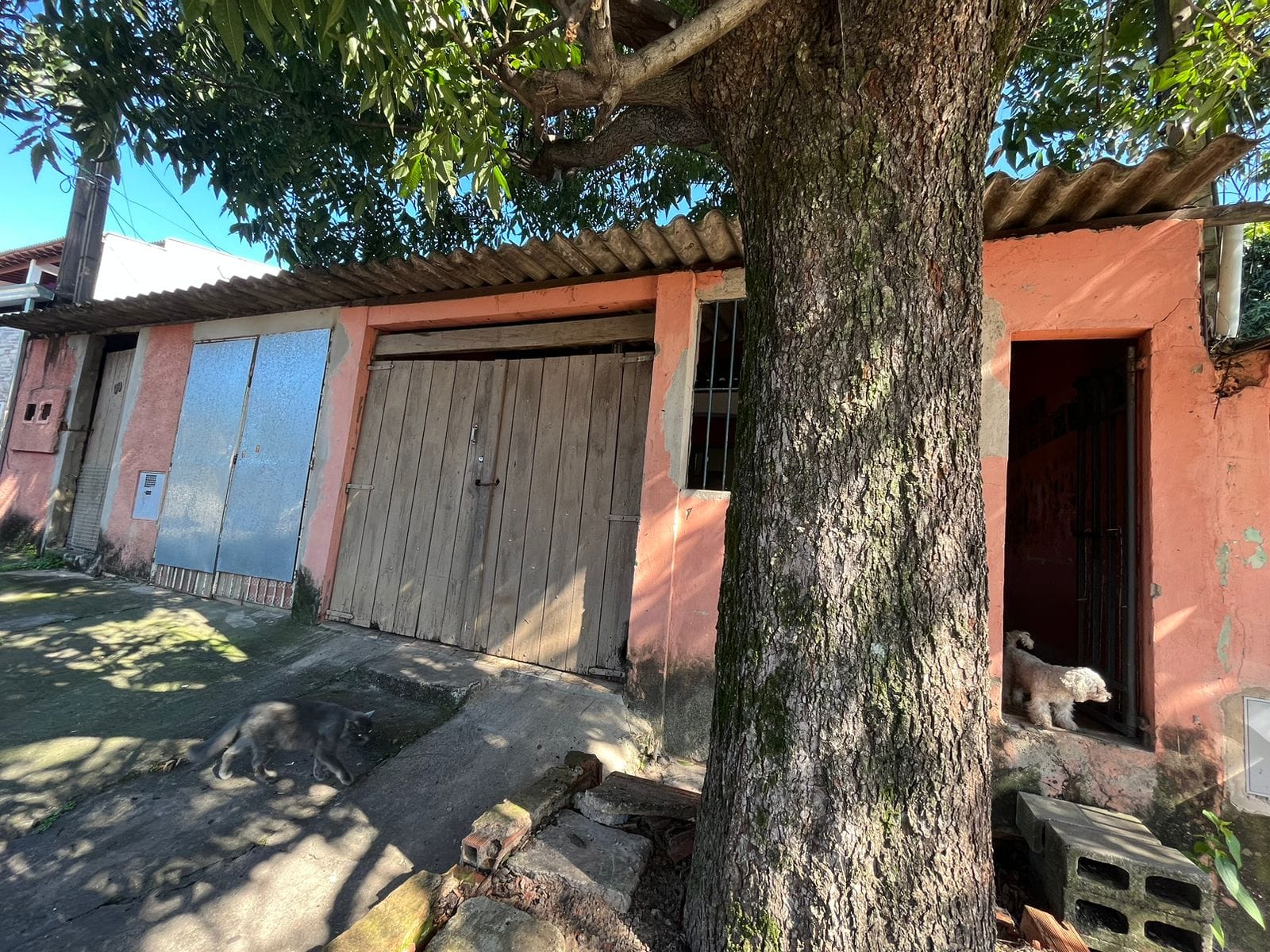 Casa, 3 quartos, 90 m² - Foto 1