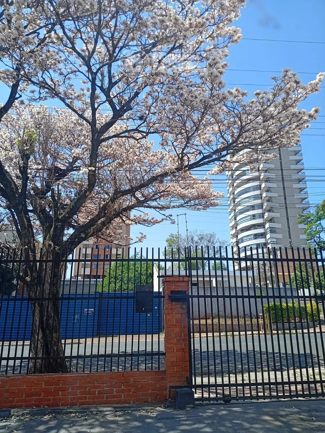 Casa, 3 quartos, 280 m² - Foto 1