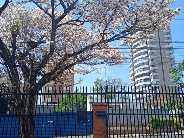 Casa com 360m² 3 quartos e 5 banheiros, à venda, no bairro Andrade em Londrina