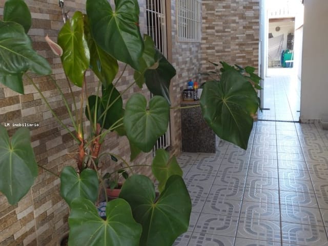 Casa 3 quartos e 2 banheiros, à venda, no bairro Indaiá em Bertioga