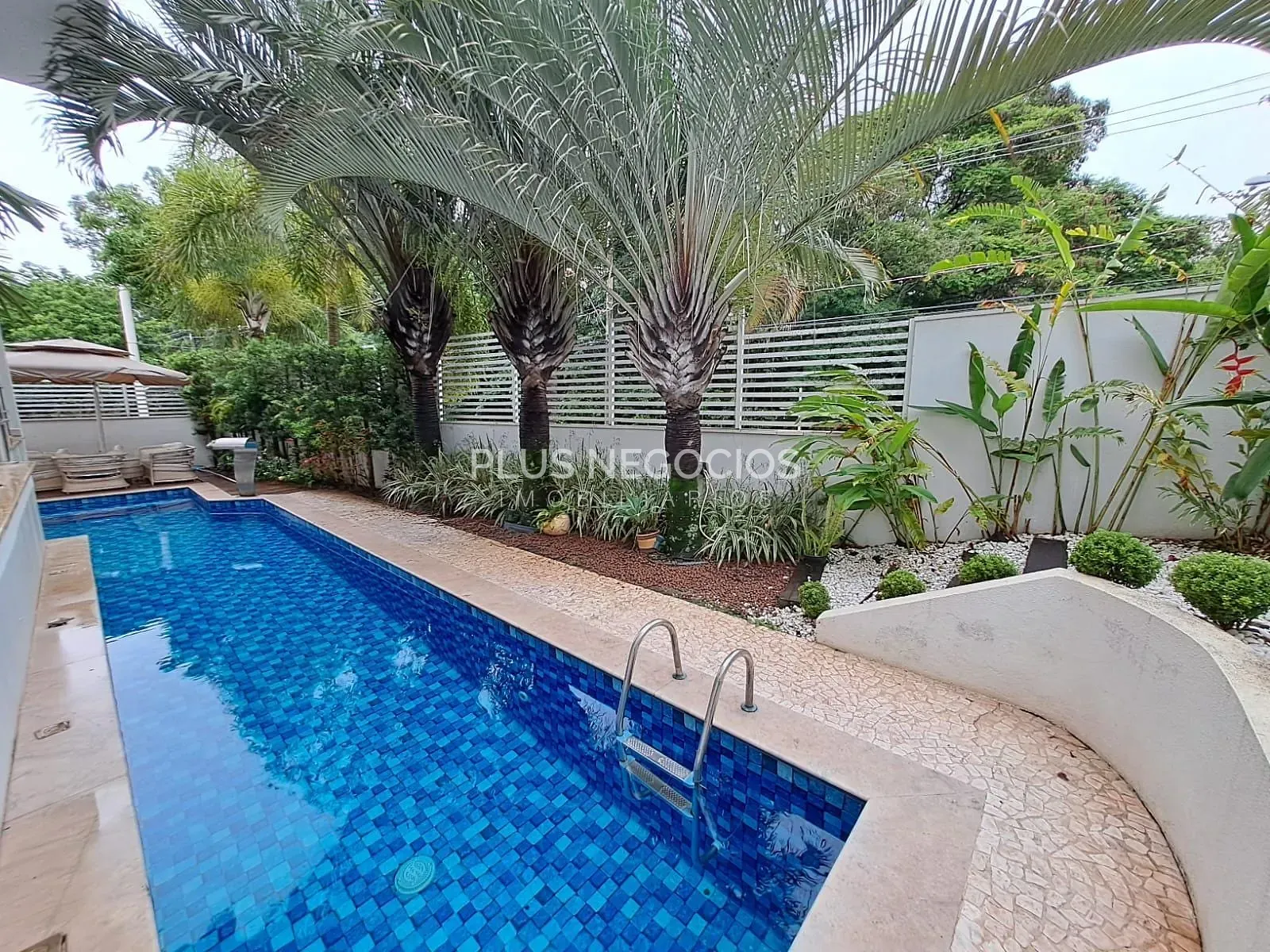Casa, 4 quartos, 336 m² - Foto 43