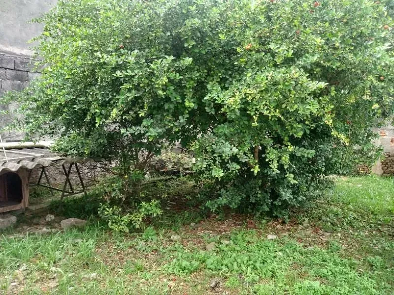 Casa, 2 quartos, 100 m² - Foto 18