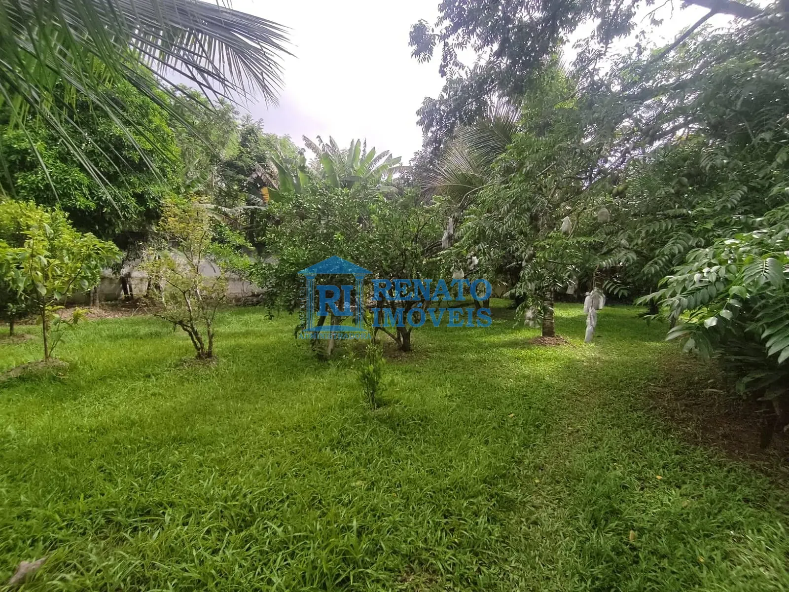 Casa, 4 quartos, 3300 m² - Foto 40