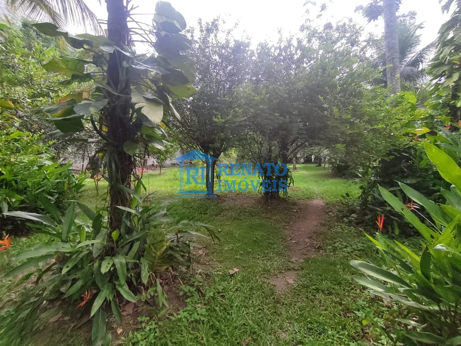 Casa, 4 quartos, 3300 m² - Foto 42
