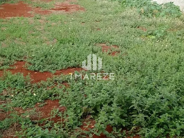 Casa com 367m² 2 quartos e 1 banheiro, à venda, no bairro Residencial Parque da Raposa em Apucarana