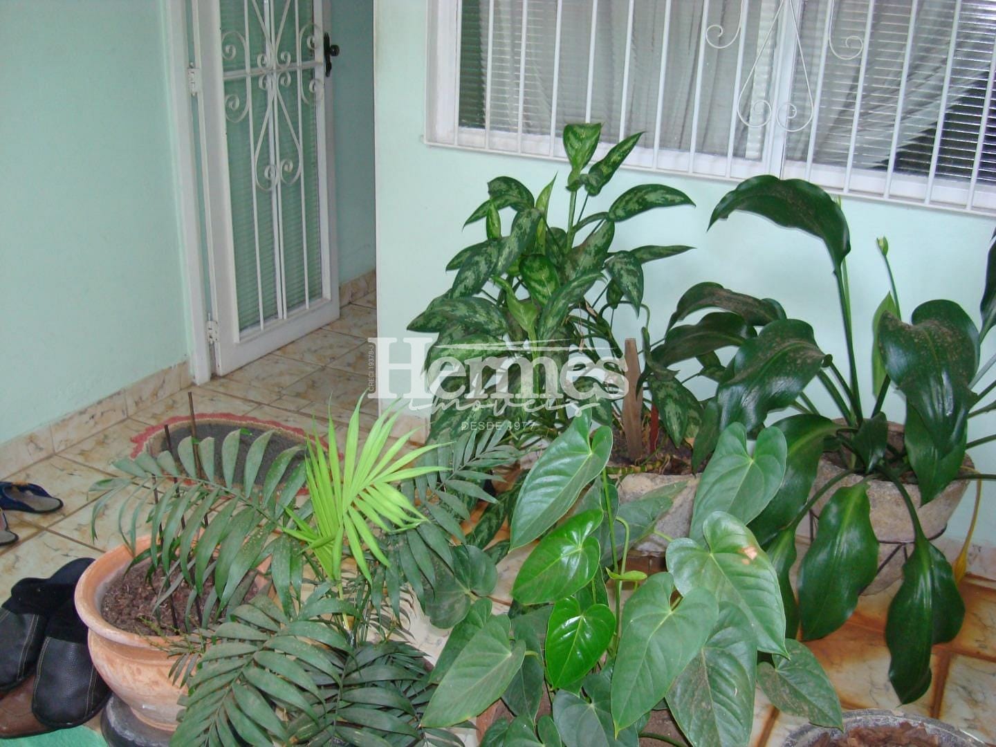 Casa à venda com 5 quartos, 220m² - Foto 19
