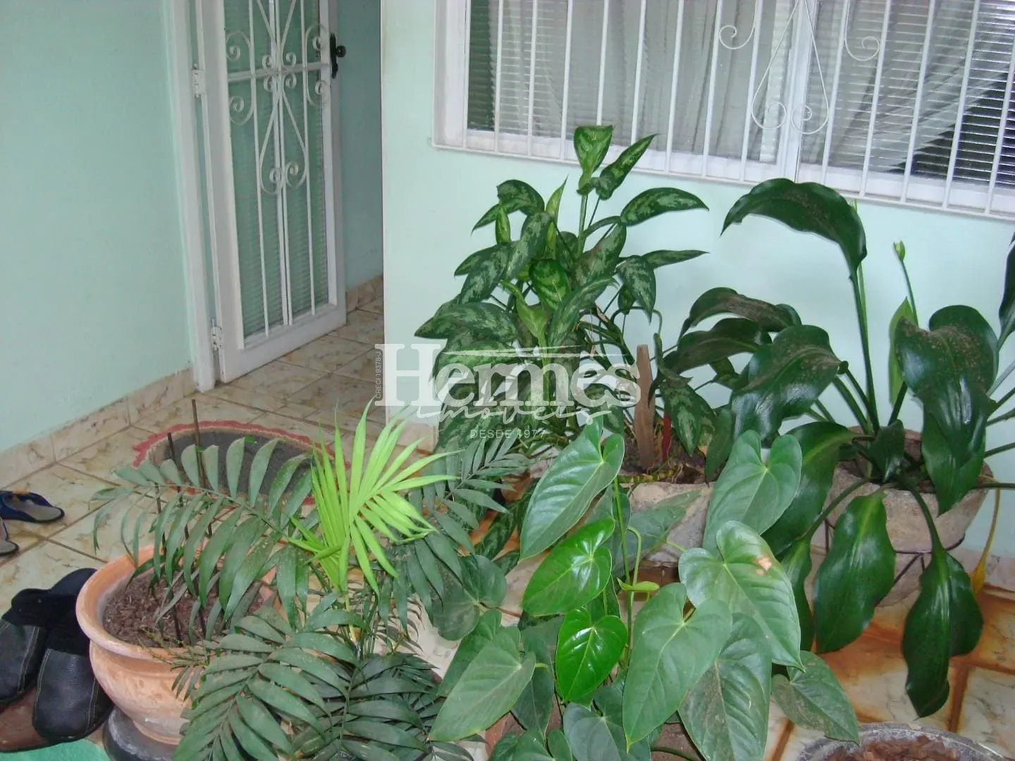 Casa, 5 quartos, 220 m² - Foto 19
