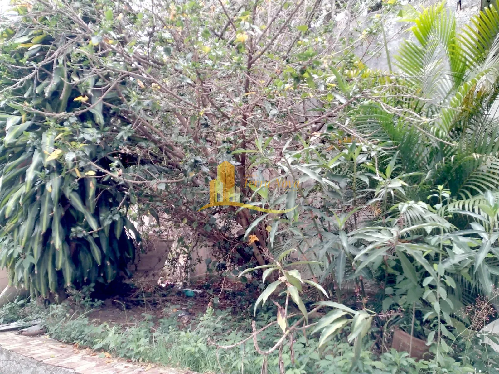 Terreno, 156 m² - Foto 10