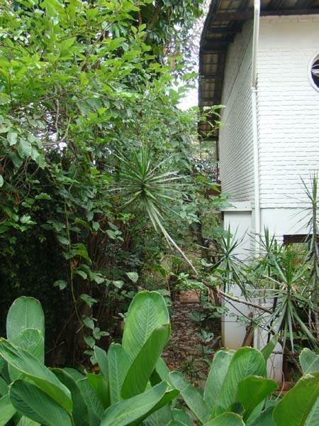 Casa de 4 quartos, 4 suíte, 9 vagas de garagem, Bandeirantes (Pampulha), Belo Horizonte, MG. Ligue agora e venha realizar seu sonho de morar bem. Lugar lindo. miniatura 26