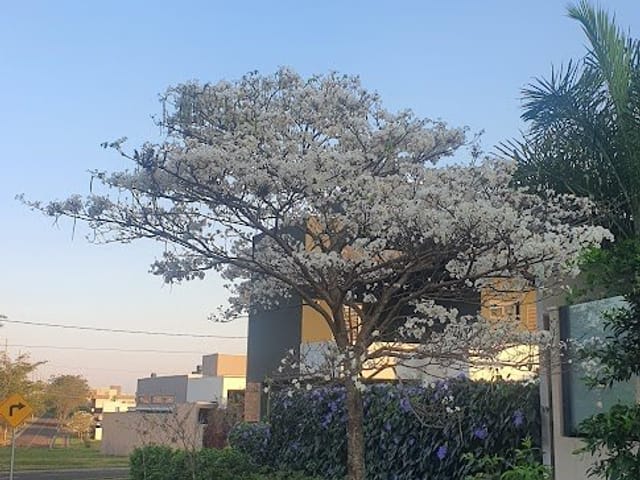 Casa com 497m² 3 quartos e 6 banheiros, à venda, no bairro Alphaville Campo Grande em Campo Grande