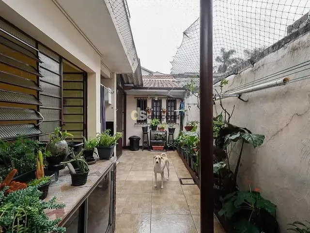 Casa 4 quartos e 2 banheiros, à venda, no bairro Vila Gustavo em São Paulo