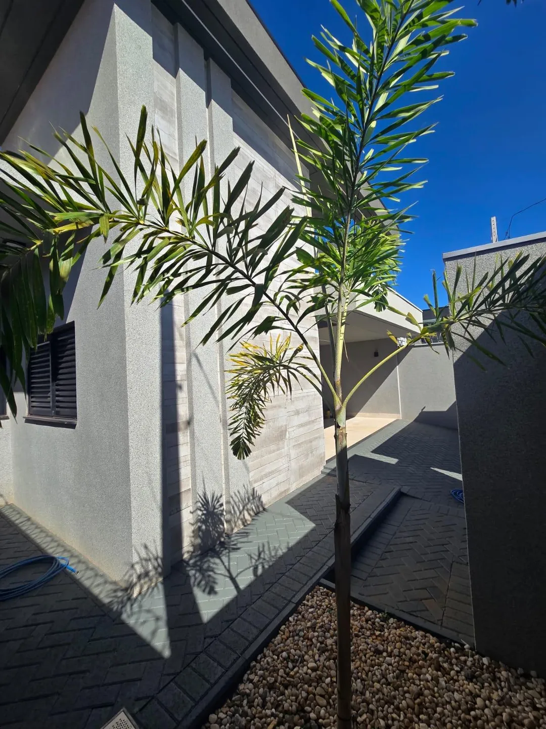 Casa, 3 quartos, 117 m² - Foto 20