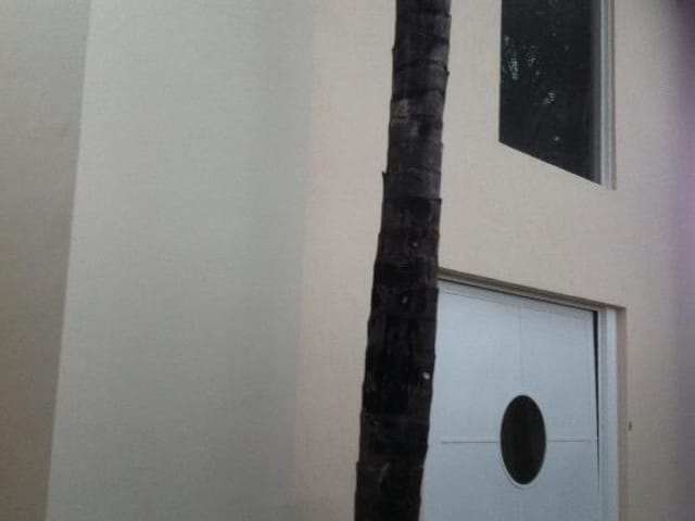 Foto do Casa - Casa residencial à venda, Olinda, Uberaba. | ZUCATO IMOBILIARIA LTDA
