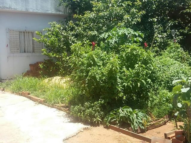 Foto do Casa - Casa à venda 3 Quartos, 1 Suite, 402.9M², Vila Craide, Uberaba - MG | ZUCATO IMOBILIARIA LTDA