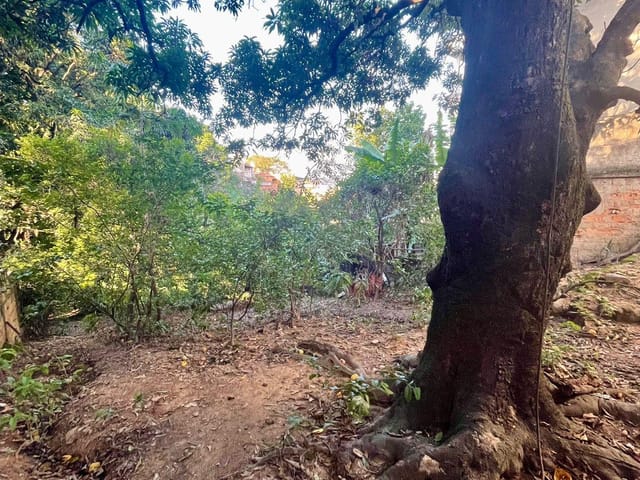 Casa 5 quartos e 2 banheiros, à venda, no bairro Tupi B em Belo Horizonte