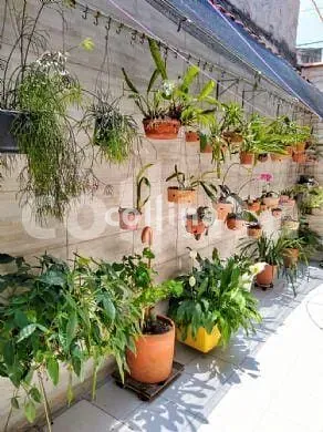 Casa, 3 quartos, 106 m² - Foto 3