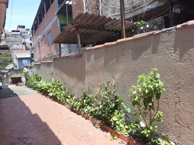 Casa com 282m² 2 quartos e 2 banheiros, à venda, no bairro Jardim Figueira Grande em São Paulo
