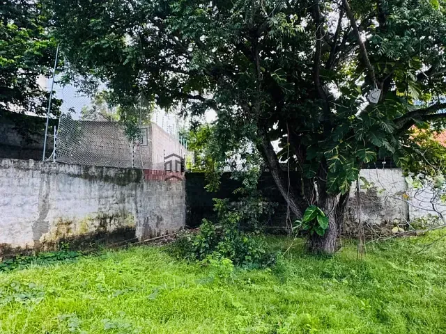 Casa com 1400m² 6 quartos e 3 banheiros, à venda, no bairro Bonsucesso em Olinda