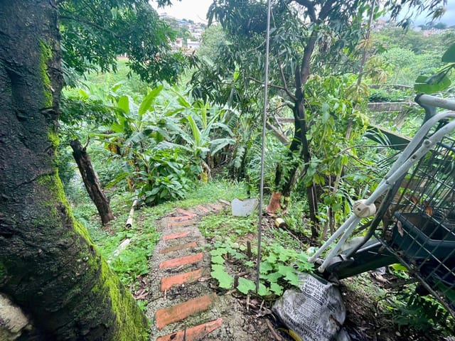 Casa 2 quartos e 1 banheiro, à venda, no bairro Novo Tupi em Belo Horizonte