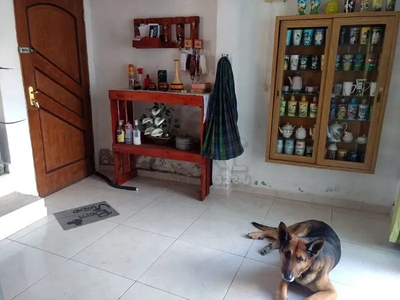 Casa, 2 quartos, 337 m² - Foto 12