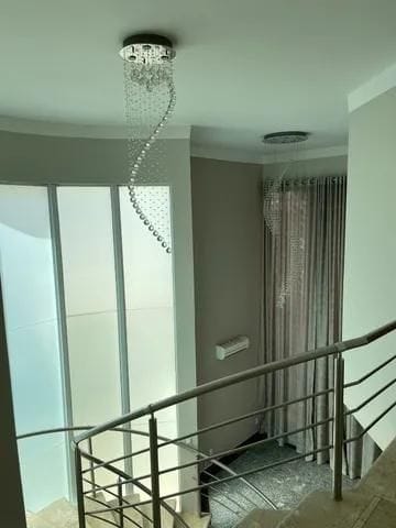 Casa, 3 quartos, 256 m² - Foto 4