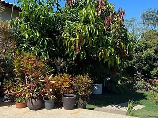 Foto do Casa-Casa com 5 dormitórios à venda, 480 m² por R$ 1.950.000,00 - Jardim Panorama - Guaratinguetá/SP