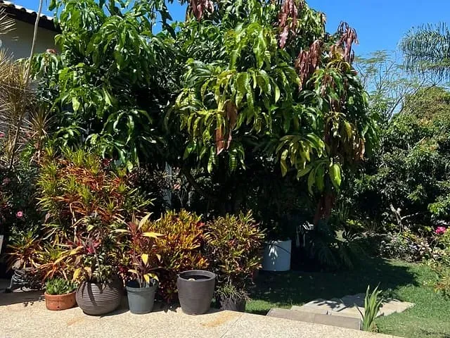 Casa com 1004m² 5 quartos e 6 banheiros, à venda, no bairro Jardim Panorama em Guaratinguetá