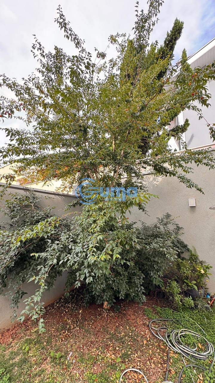 Casa, 3 quartos, 324 m² - Foto 47