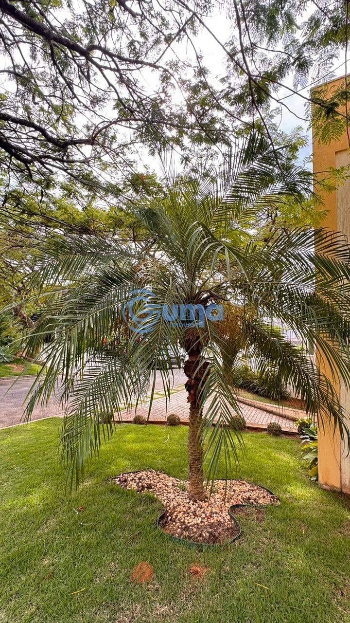 Casa, 3 quartos, 324 m² - Foto 48