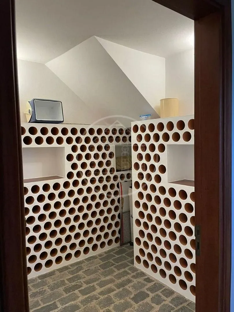 Casa, 6 quartos, 550 m² - Foto 38