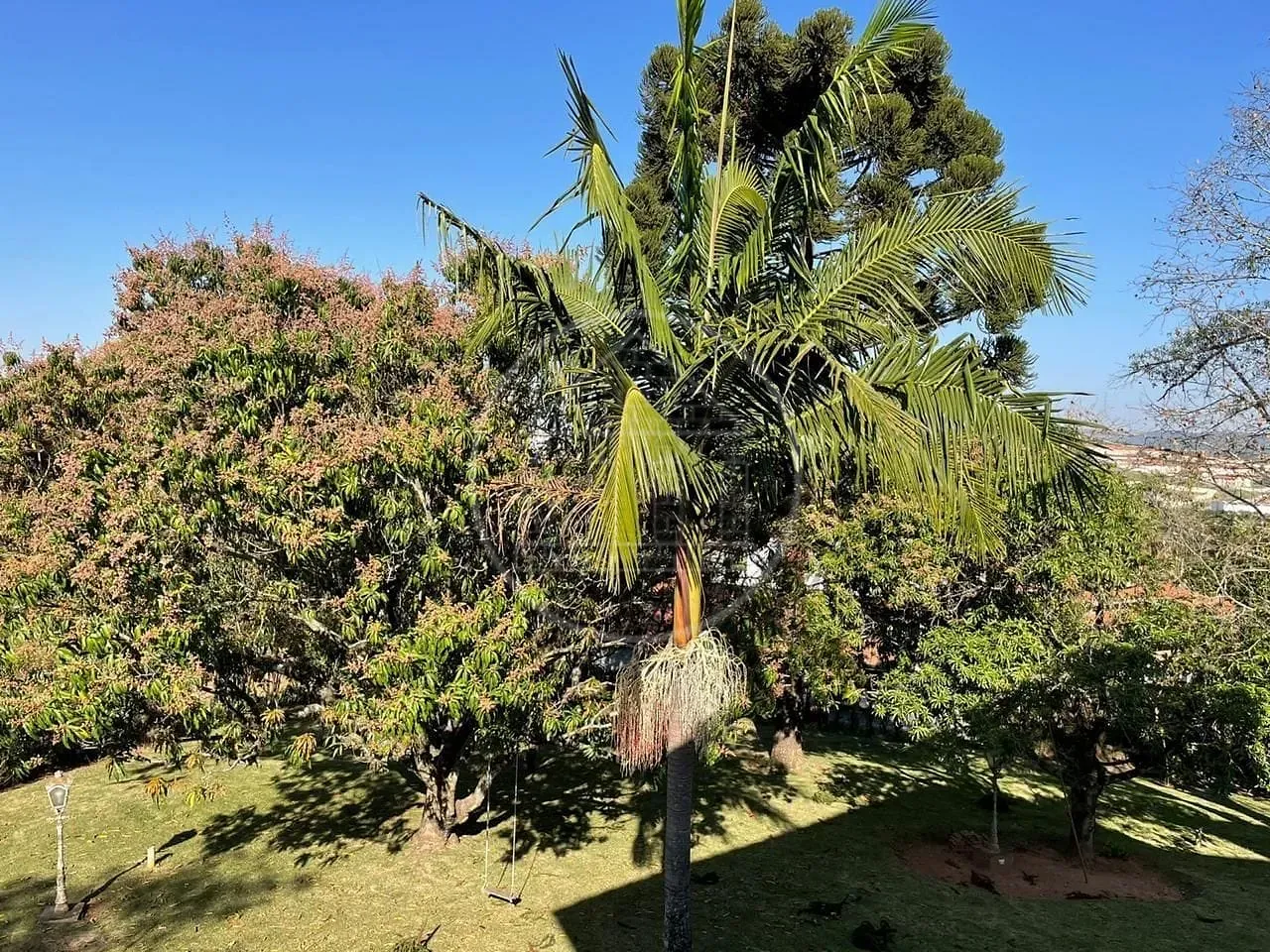 Casa, 6 quartos, 550 m² - Foto 12
