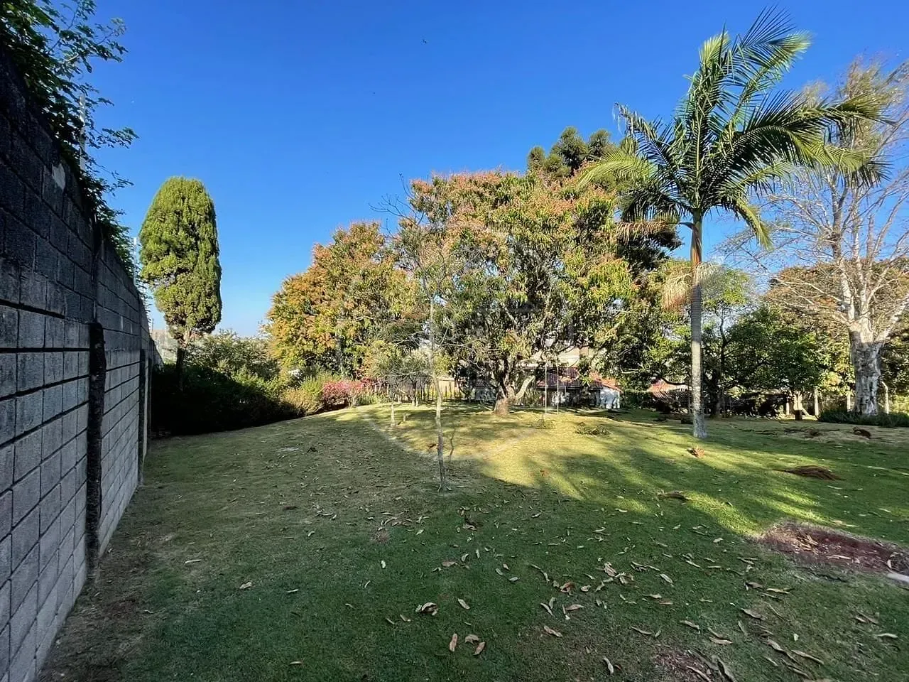 Casa, 6 quartos, 550 m² - Foto 71