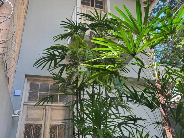 Casa para alugar, no bairro Jardim Paulistano em São Paulo