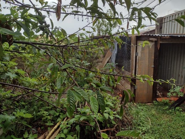 Casa com 420m², à venda, no bairro Vila Valentin em São João da Boa Vista