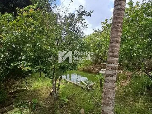 Casa 3 quartos e 2 banheiros, à venda, no bairro Guabiraba em Recife