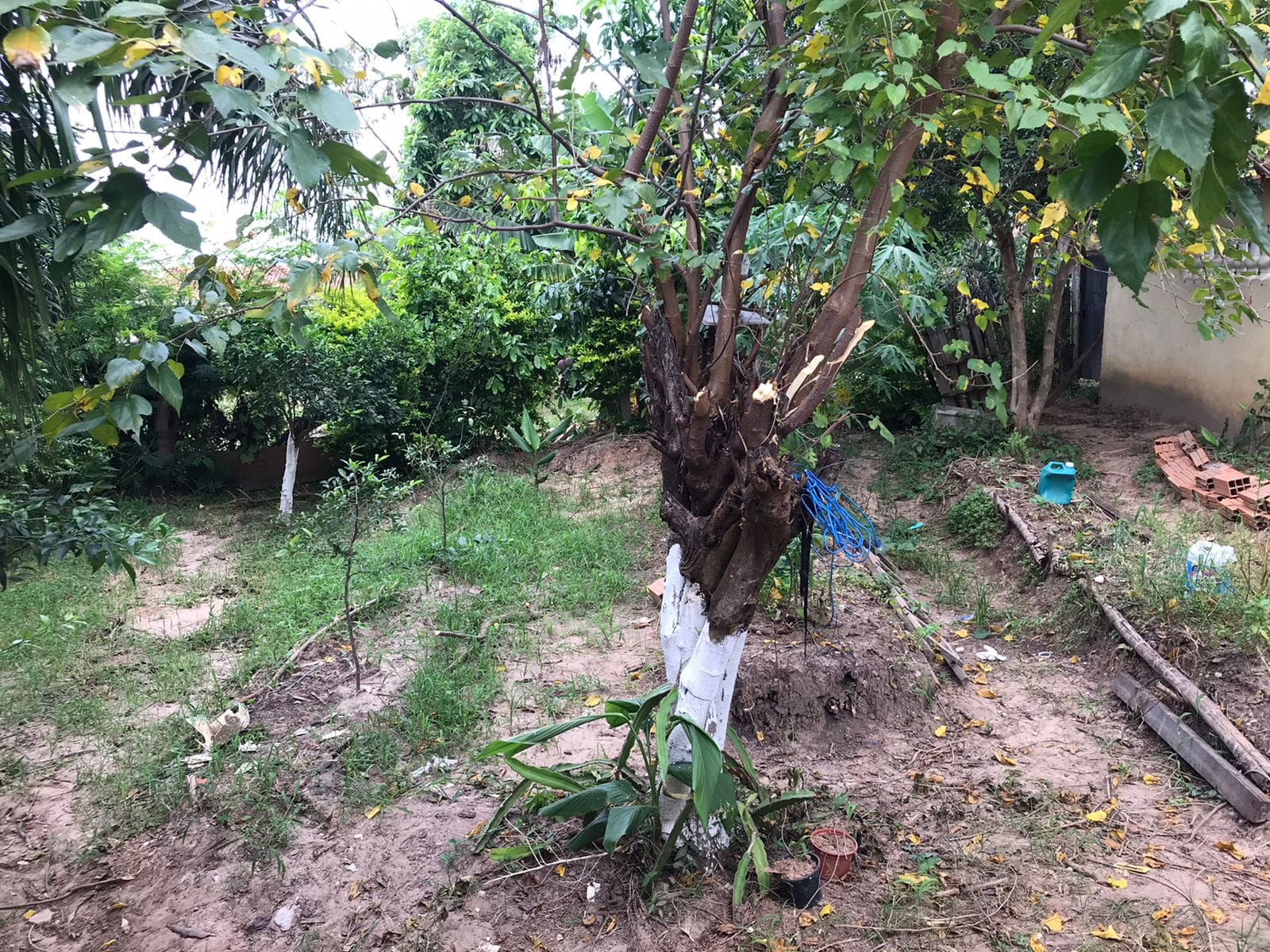 Casa, 2 quartos, 100 m² - Foto 32