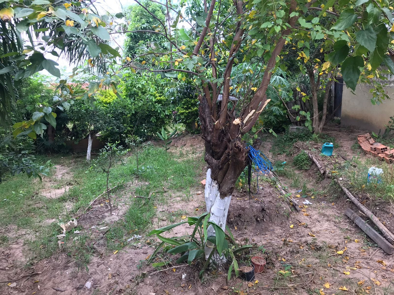 Casa, 2 quartos, 100 m² - Foto 33