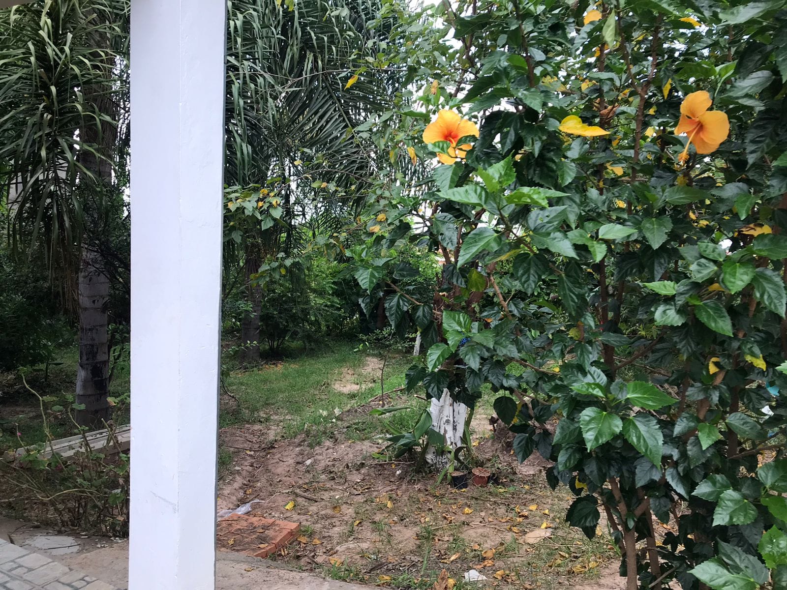 Casa, 2 quartos, 100 m² - Foto 39