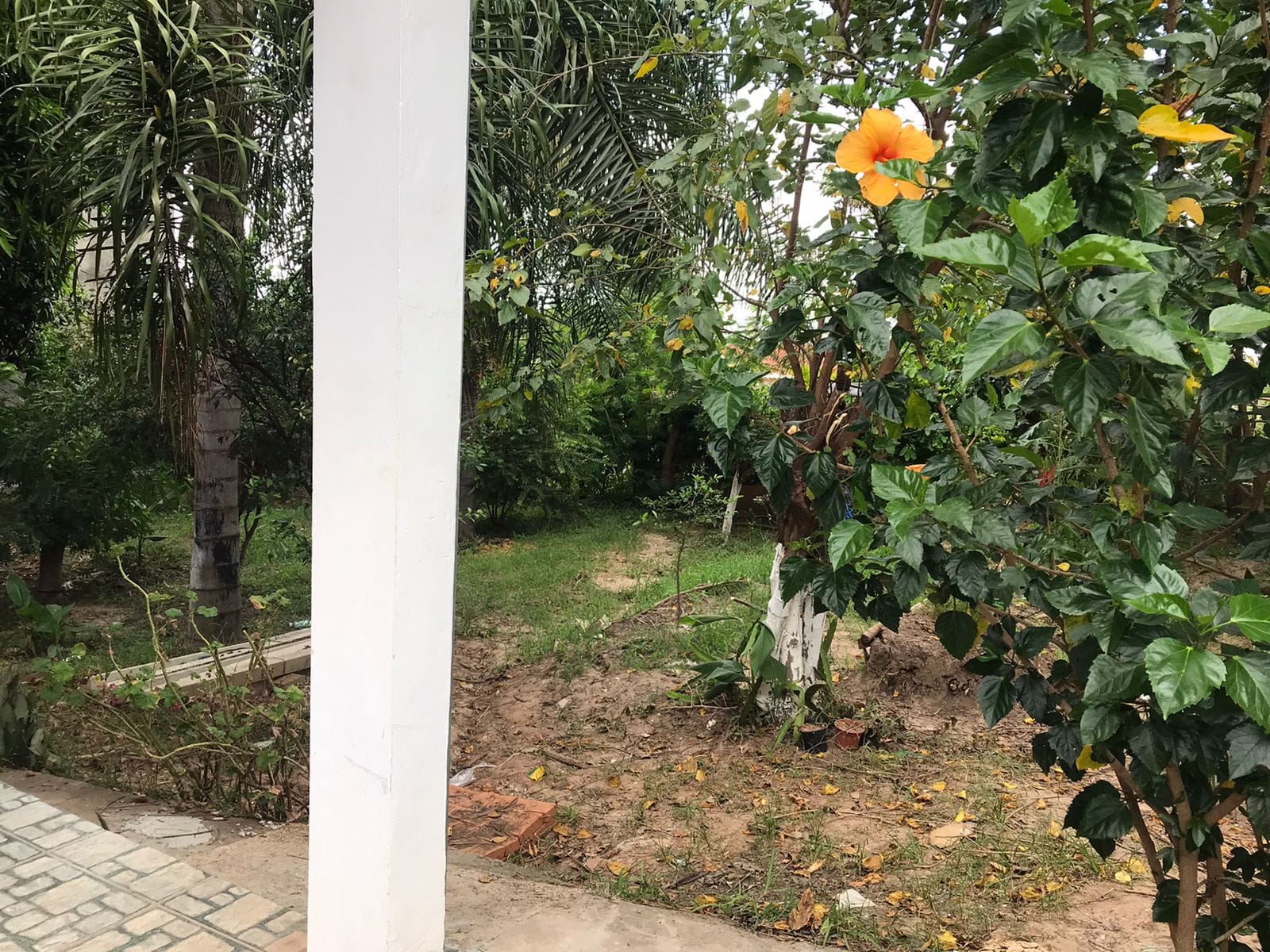 Casa, 2 quartos, 100 m² - Foto 42